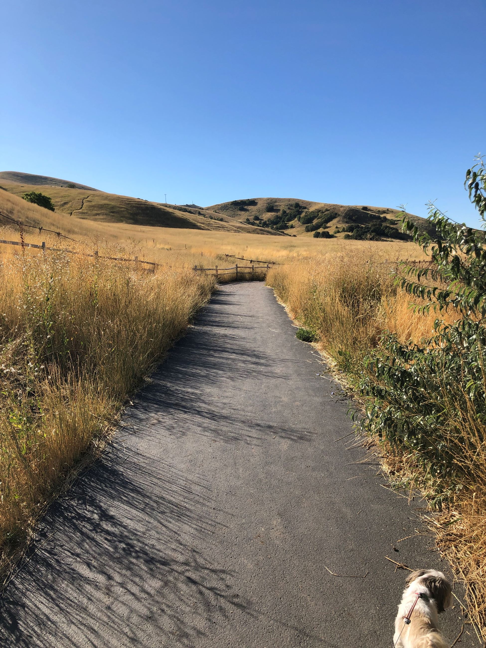 Tunnel Springs Path to Bonneville Trail