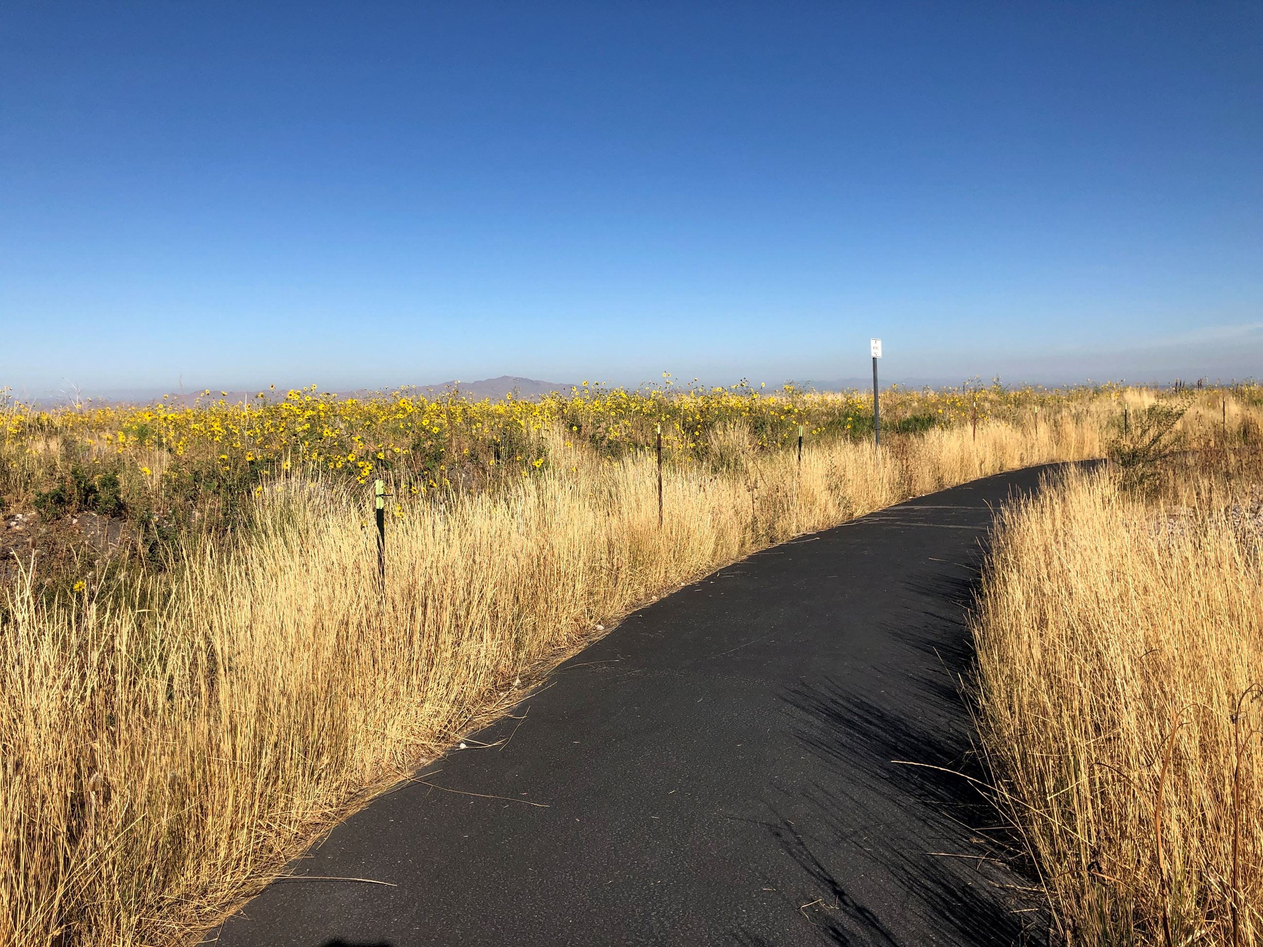 Tunnel Springs Path west 2