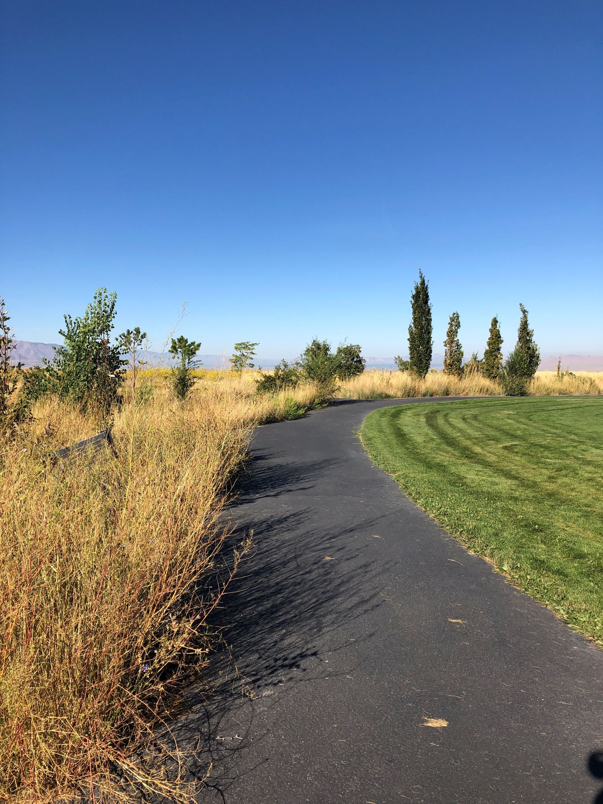Tunnel Springs path west side