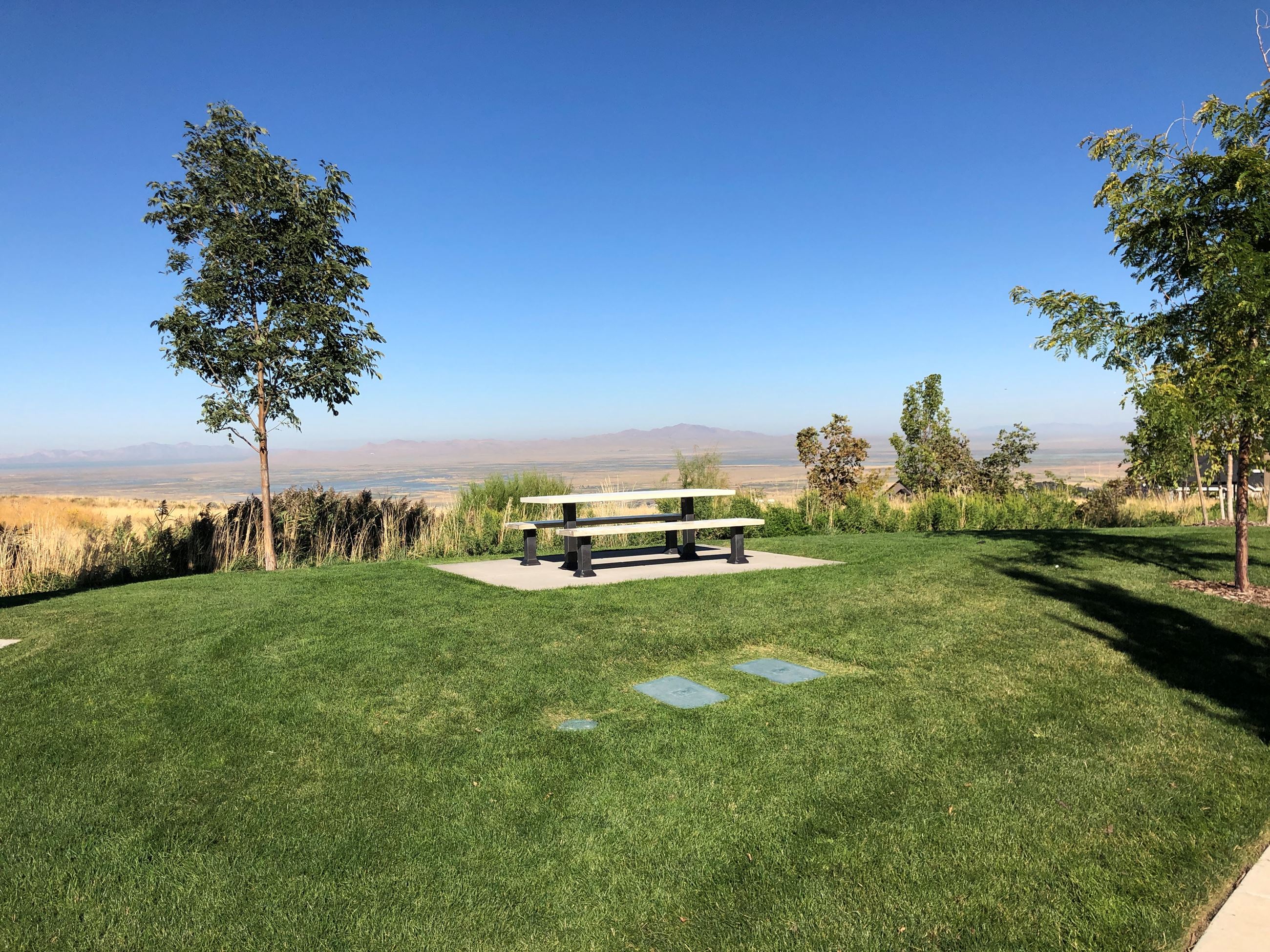 Tunnel Springs picnic table