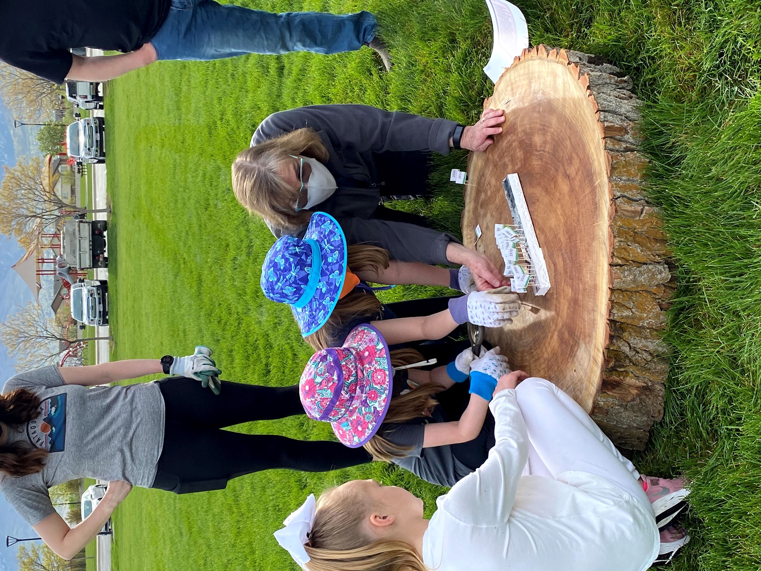 IMG_6927 Lisa w butterfield girls and flags tree slice