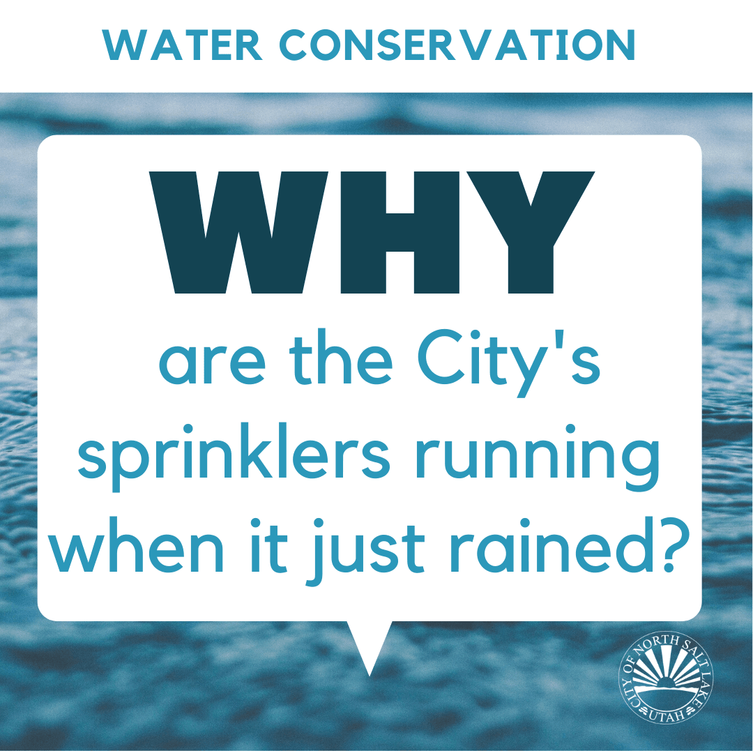 Water Conservation city watering just rained