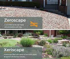 xeriscape versus zeroscape