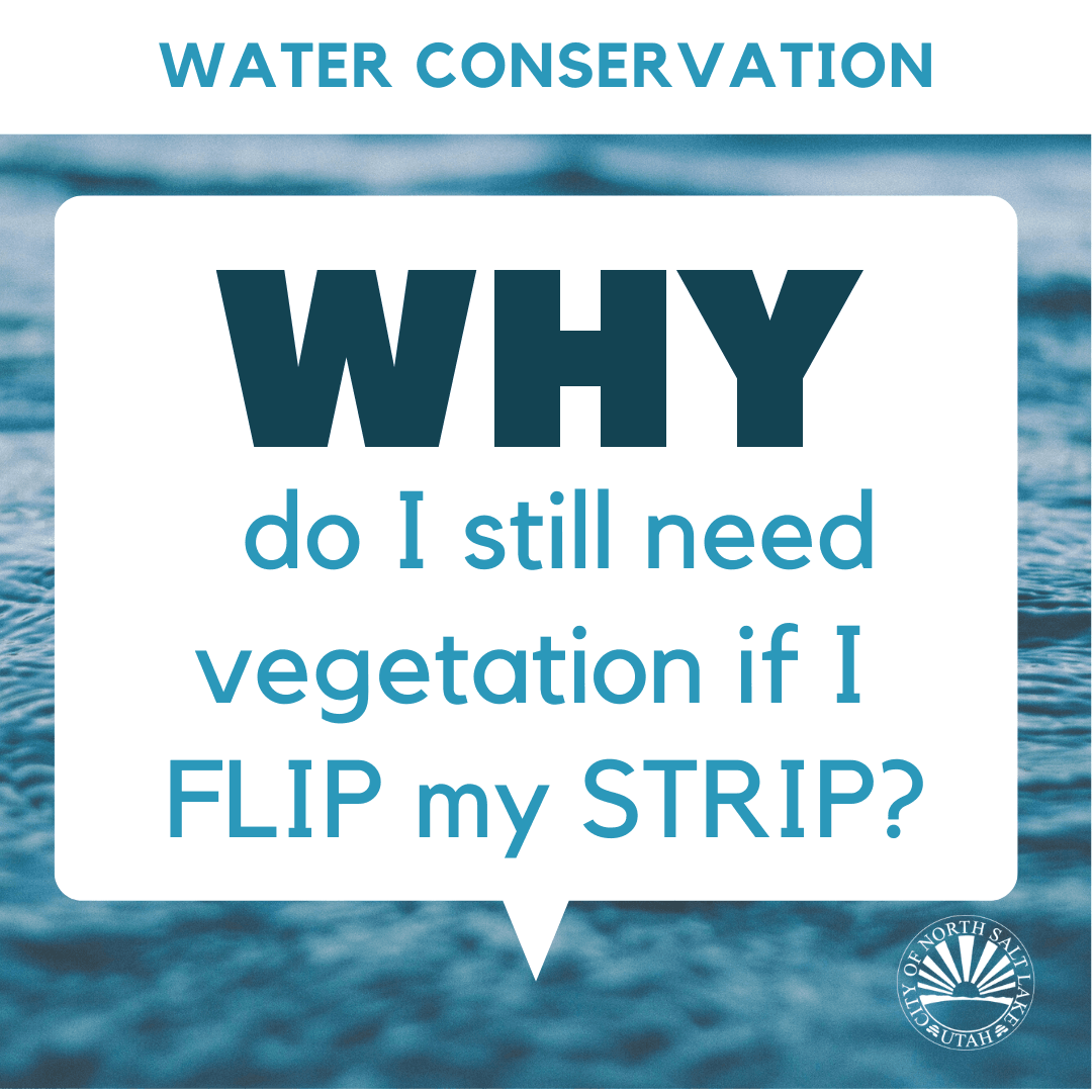 Water Conservation and flip my strip vegetation