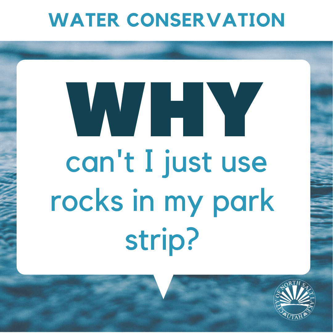 Water Conservation just rocks in park strip