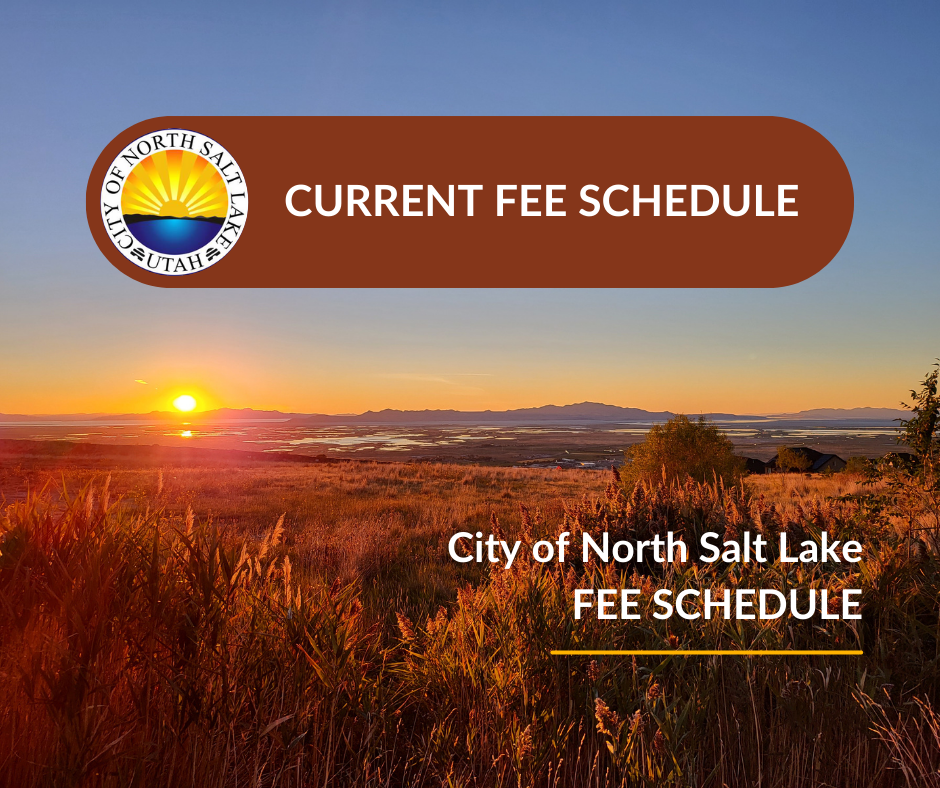 WEB Fee Schedule button for website