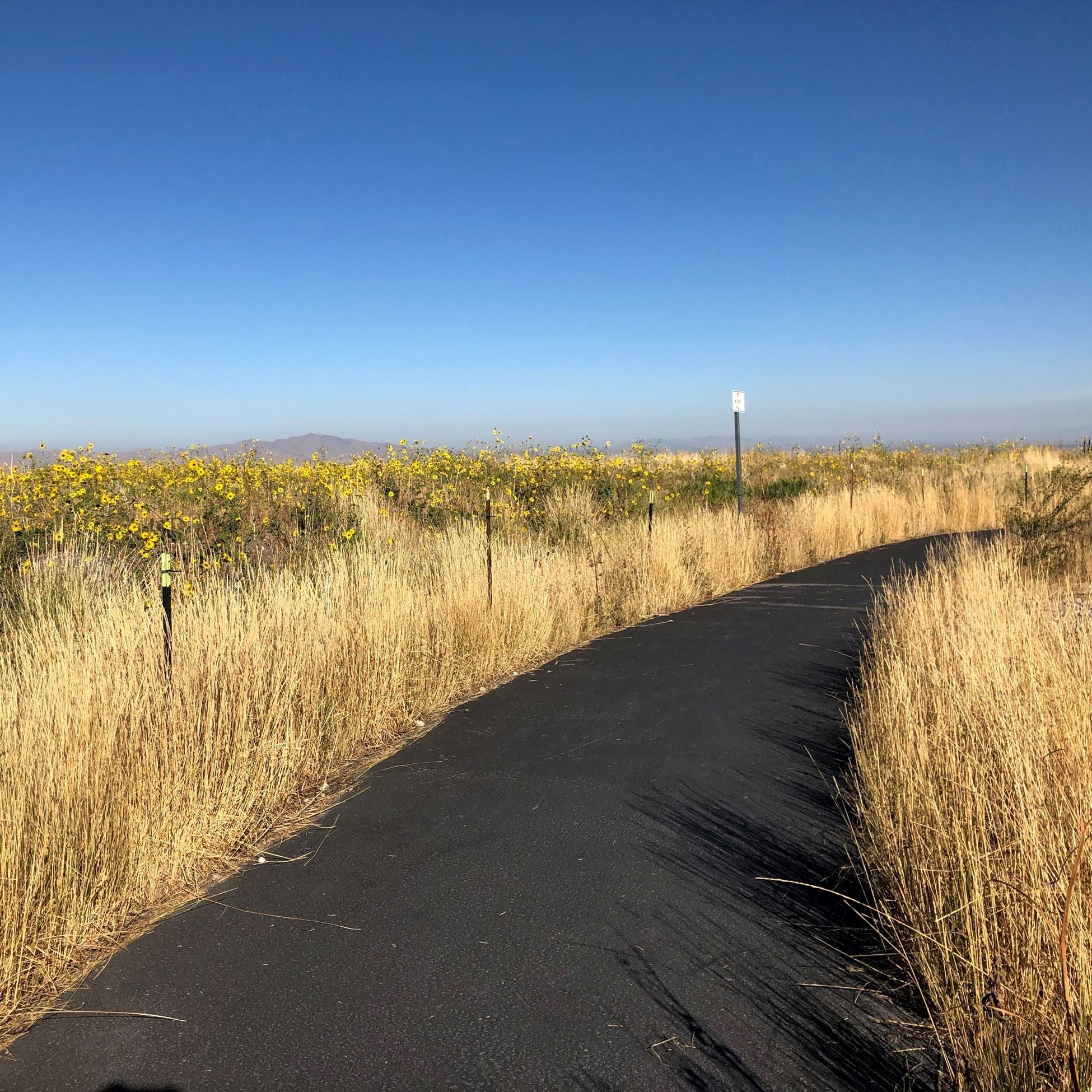 Tunnel Springs Path west 2