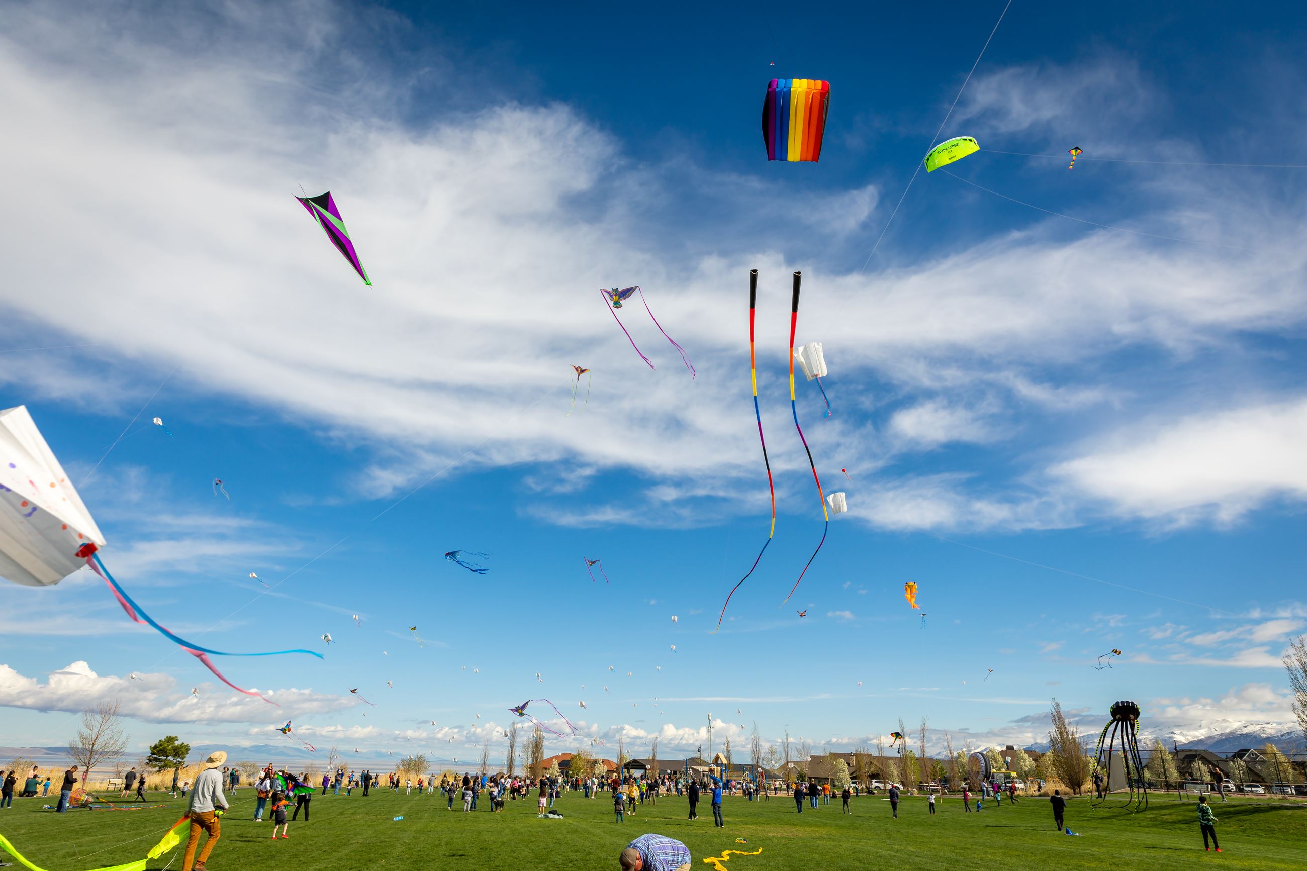 Kite Festival 2023 Tunnel Springs large kites