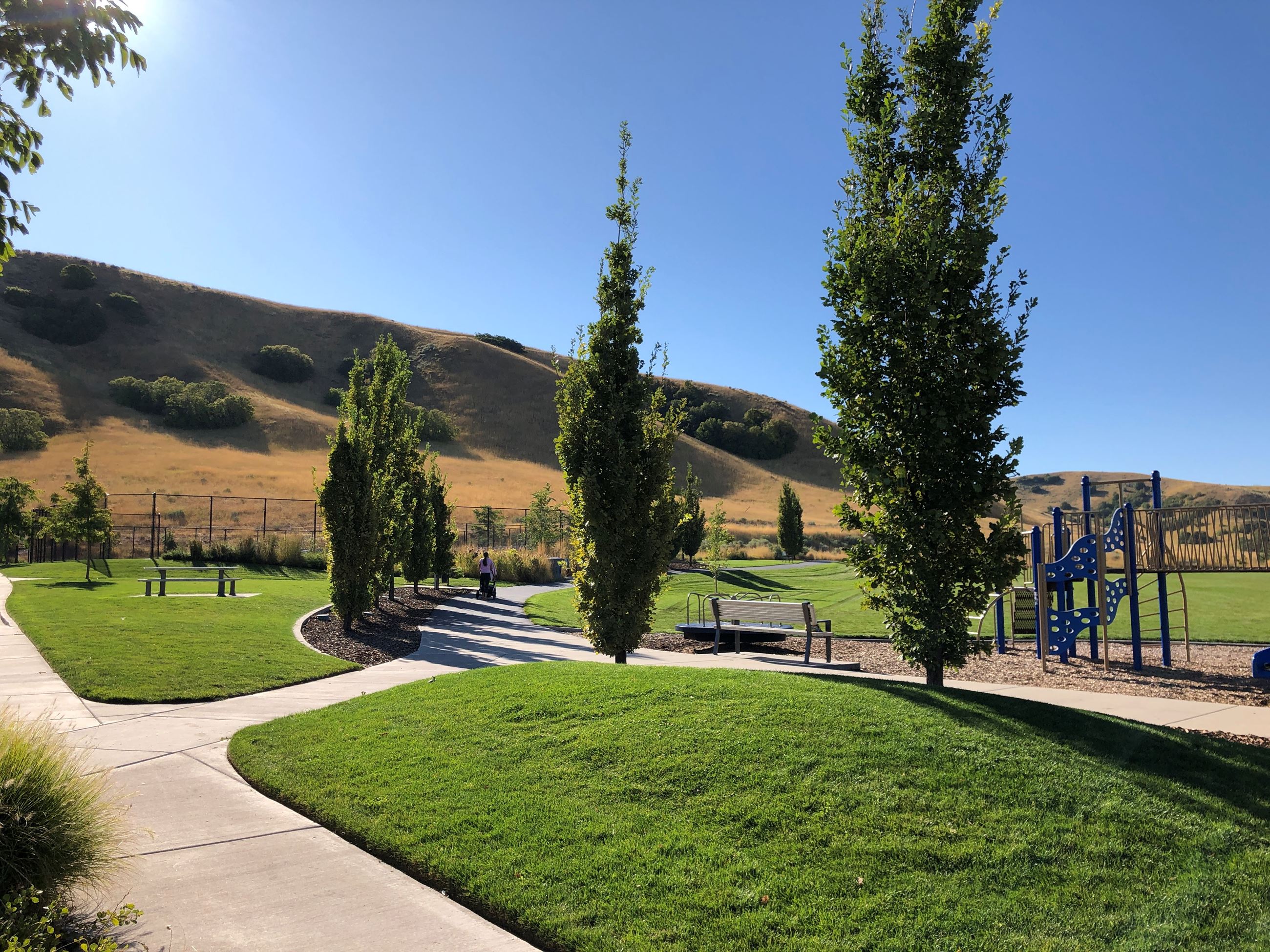 Tunnel Springs incl playground trees